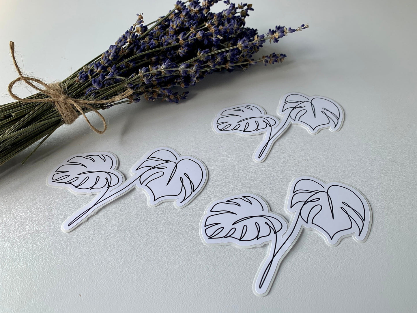 Monstera Deliciosa Line Sticker