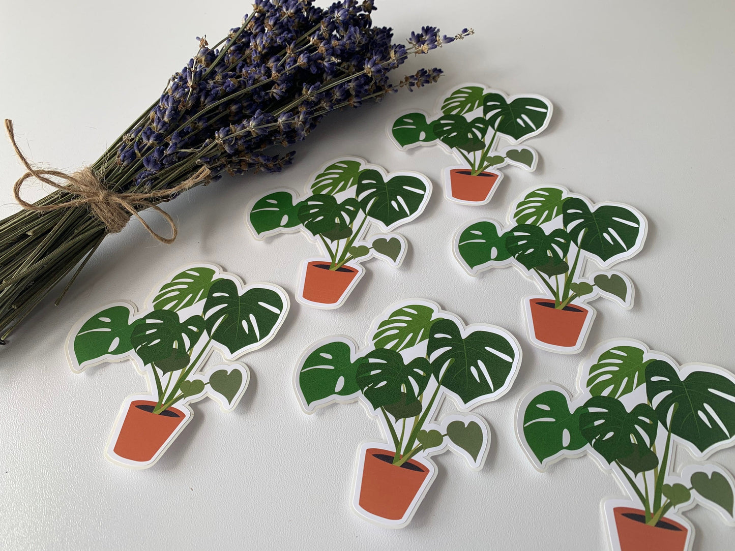 Monstera Deliciosa Sticker