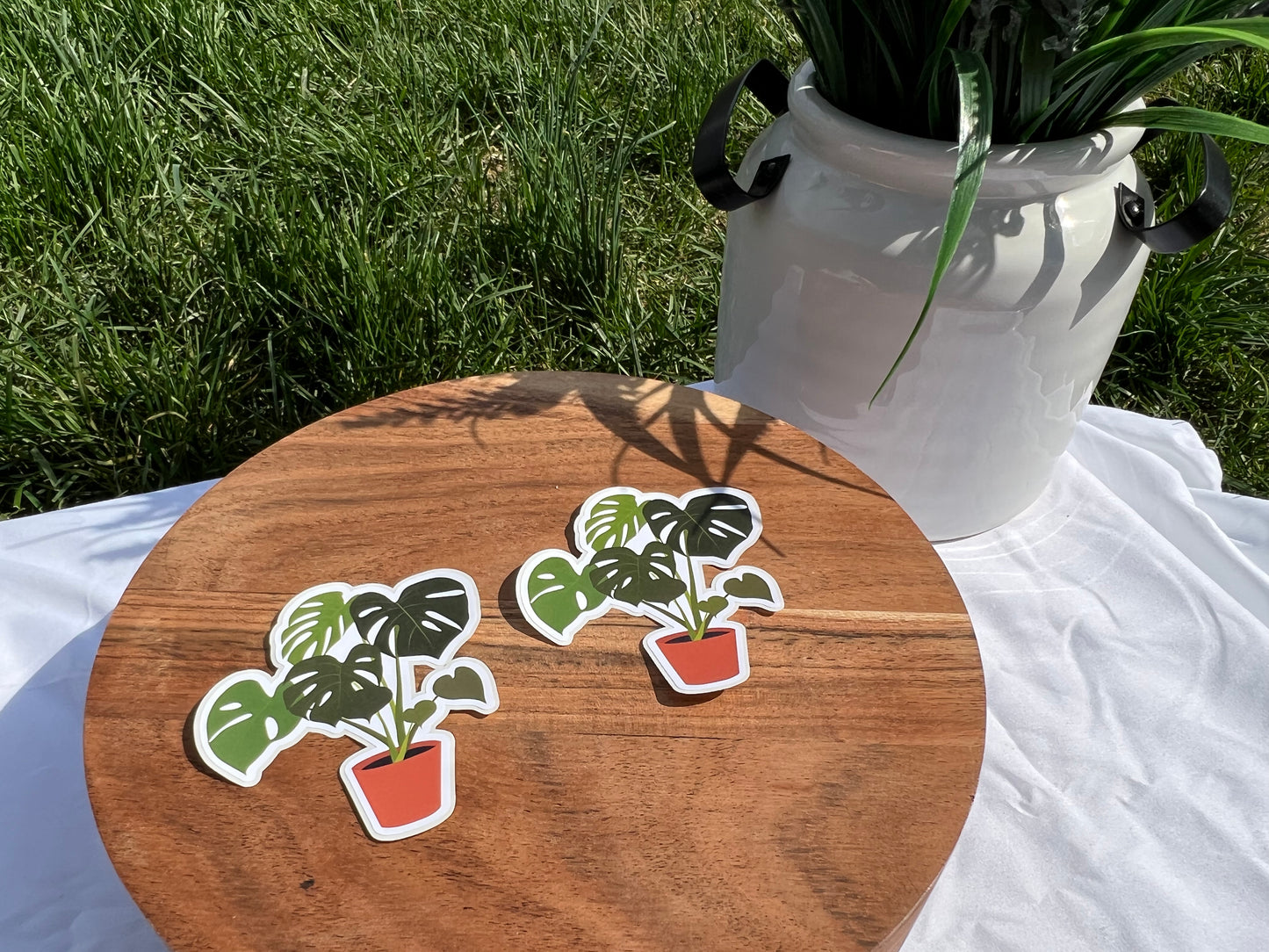 Monstera Deliciosa Sticker