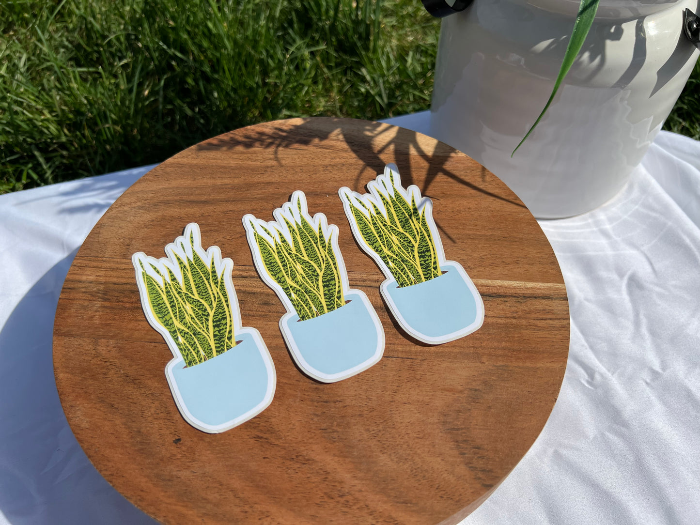 Blue Pot Snake Plant Sticker