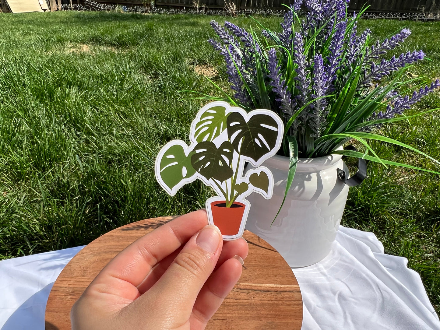 Monstera Deliciosa Sticker