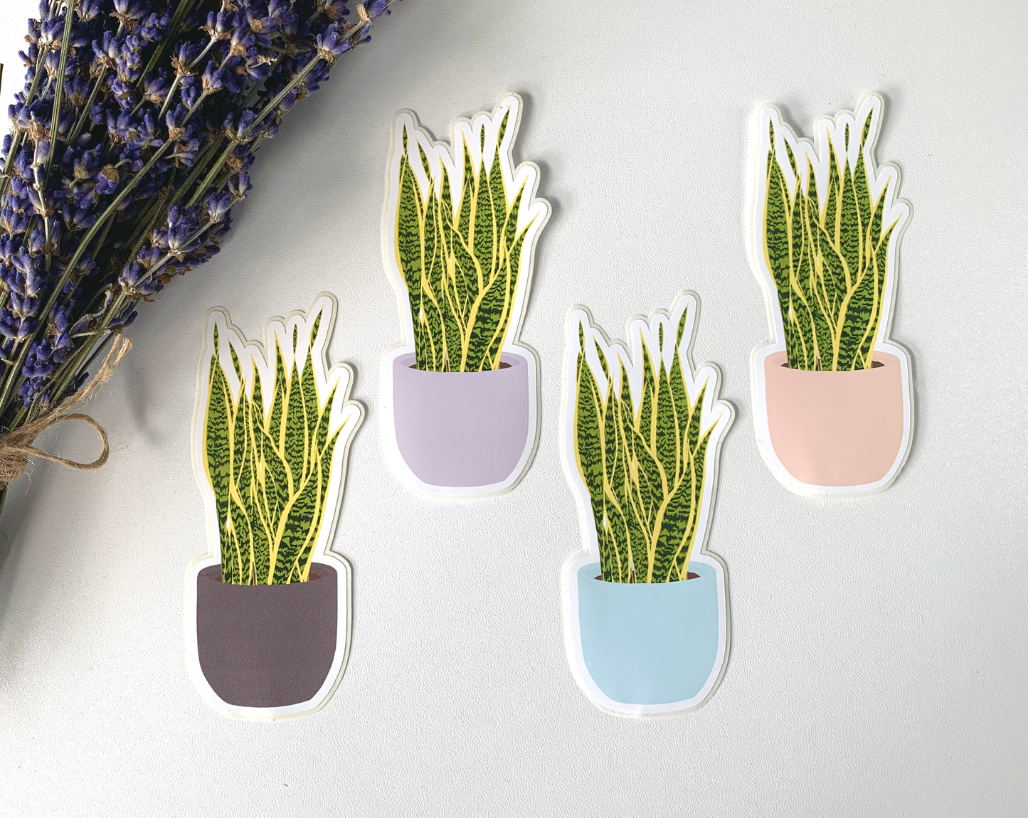 Blue Pot Snake Plant Sticker