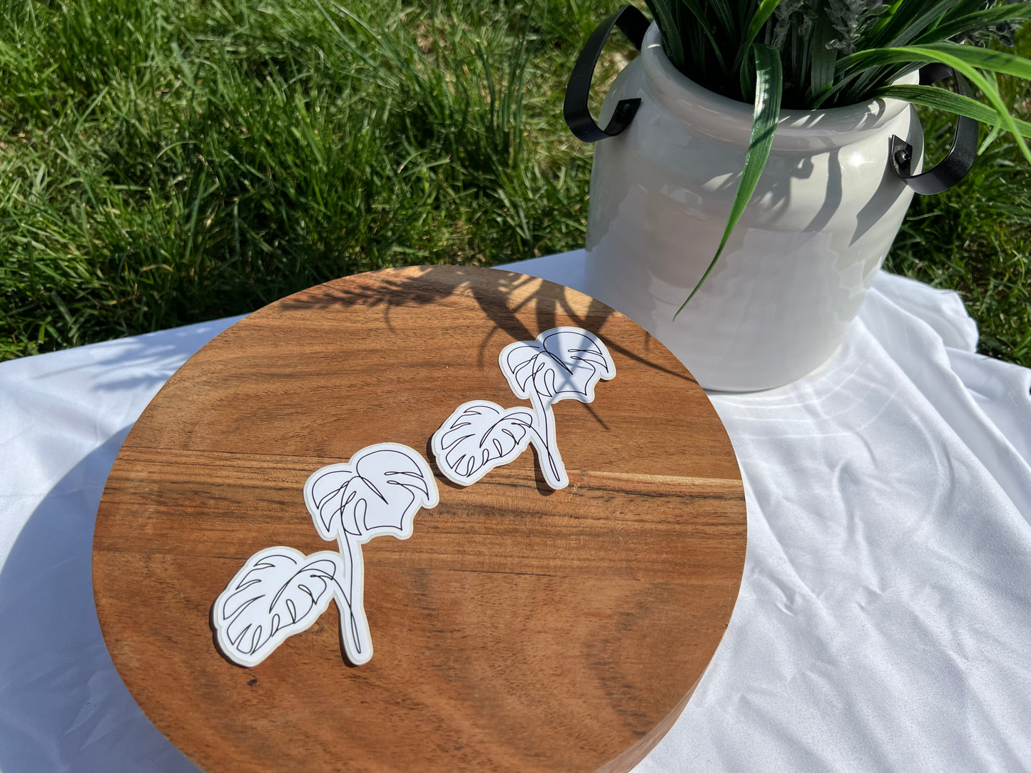 Monstera Deliciosa Line Sticker