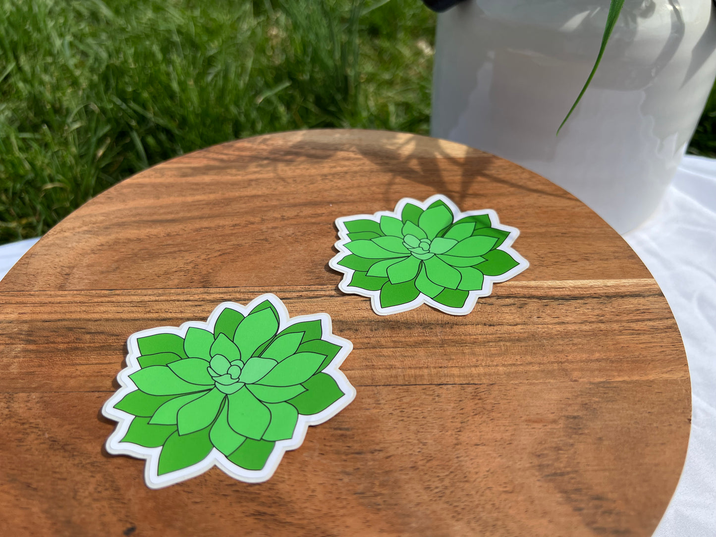 Succulent Sticker