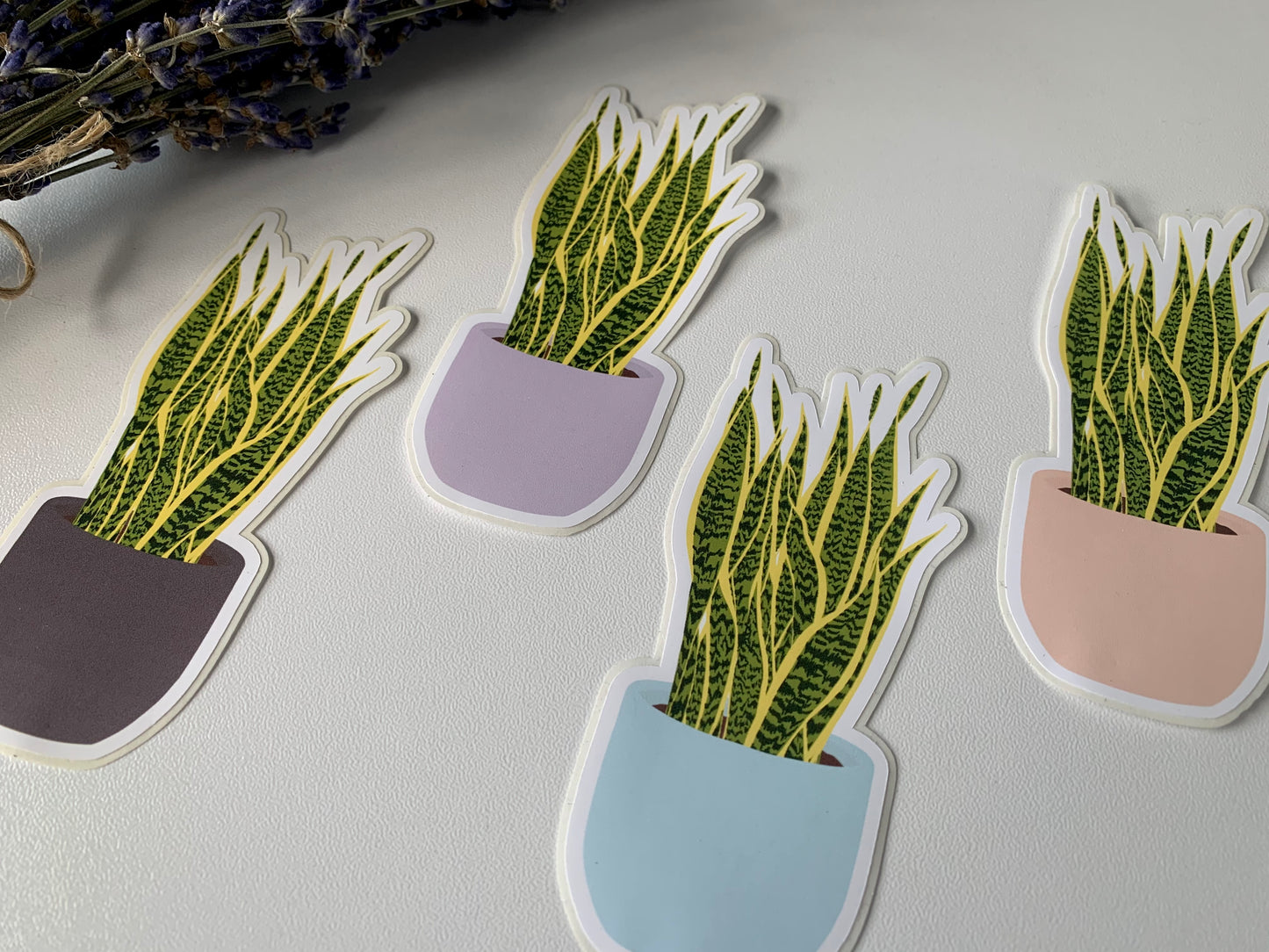 Blue Pot Snake Plant Sticker