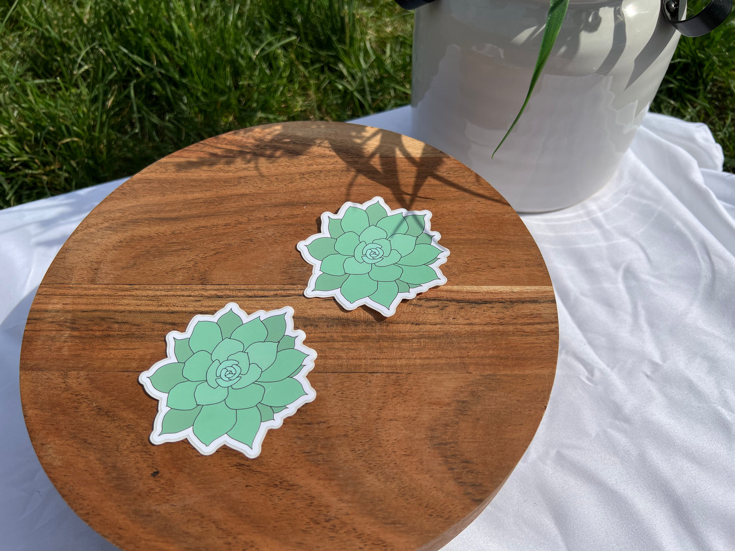 Succulent Sticker