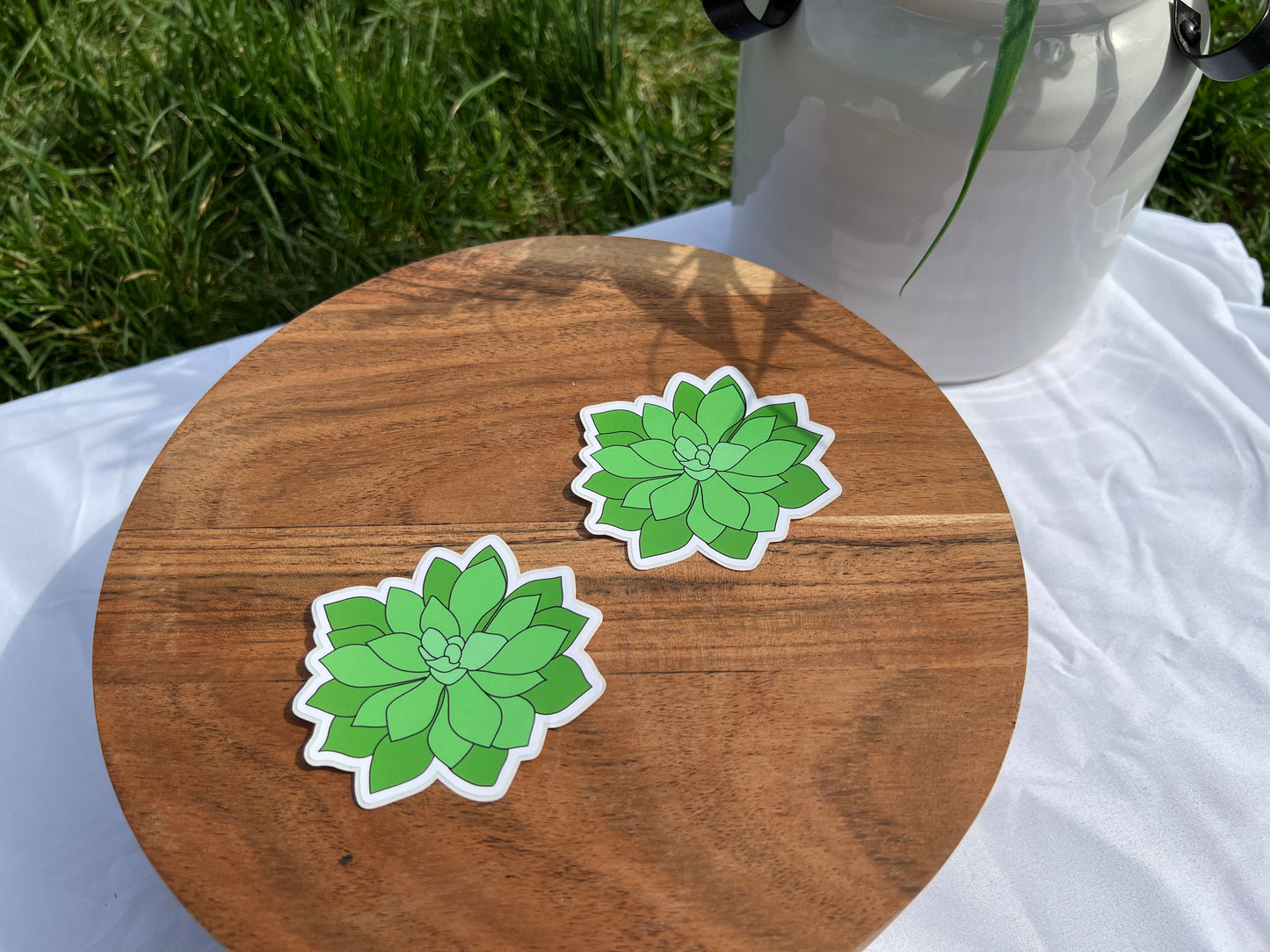 Succulent Sticker