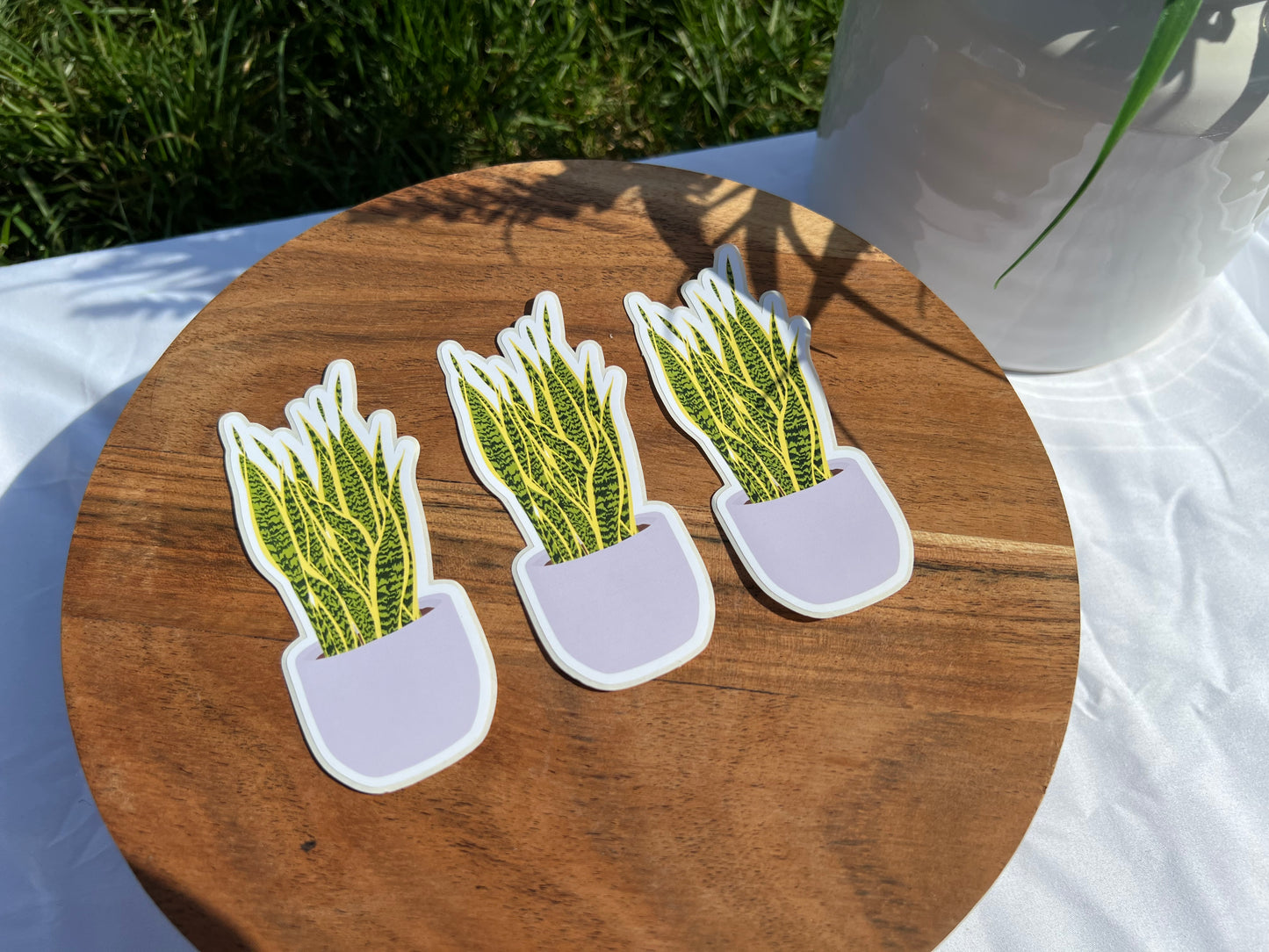 Lavender Pot Snake Plant Sticker