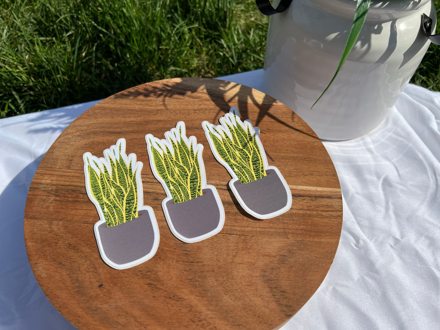 Grey Pot Snake Plant Sticker
