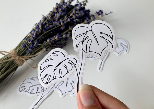 Monstera Deliciosa Line Sticker