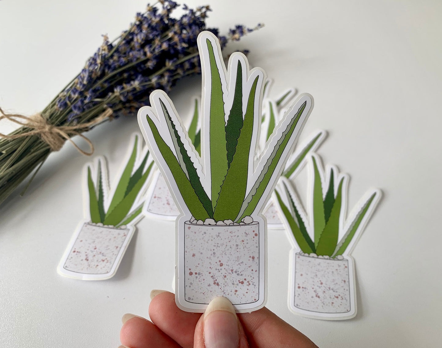 Aloe Plant Sticker