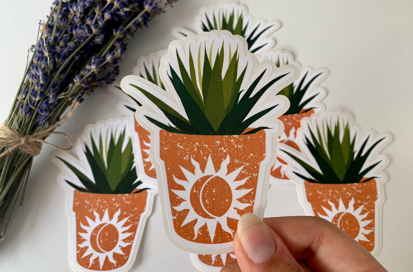 Sun Moon Succulent Sticker