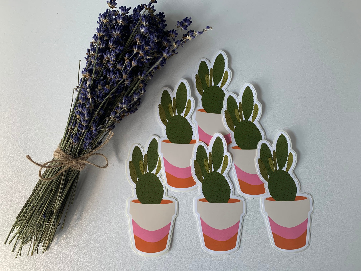 Cactus Plant Pink Pot Sticker