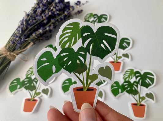 Monstera Deliciosa Sticker