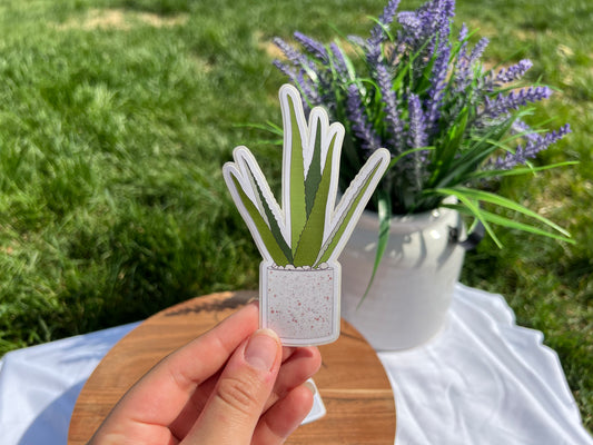 Aloe Plant Sticker