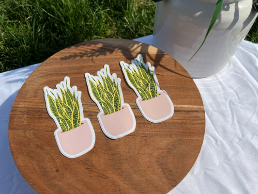 Cantaloupe Pot Snake Plant Sticker