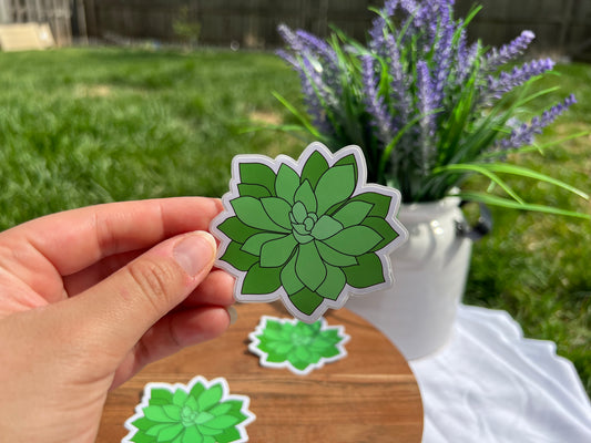 Succulent Sticker