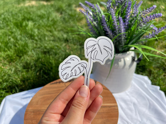 Monstera Deliciosa Line Sticker