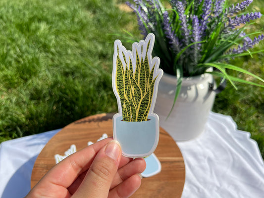 Blue Pot Snake Plant Sticker