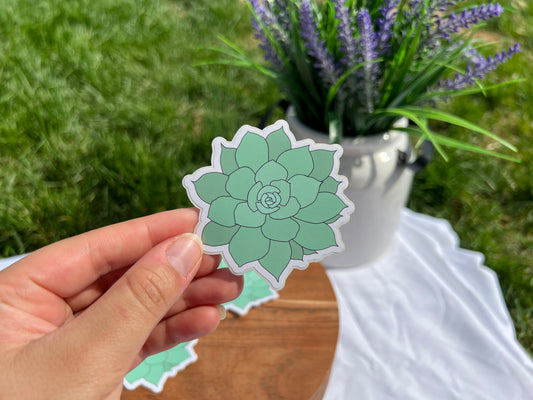 Succulent Sticker