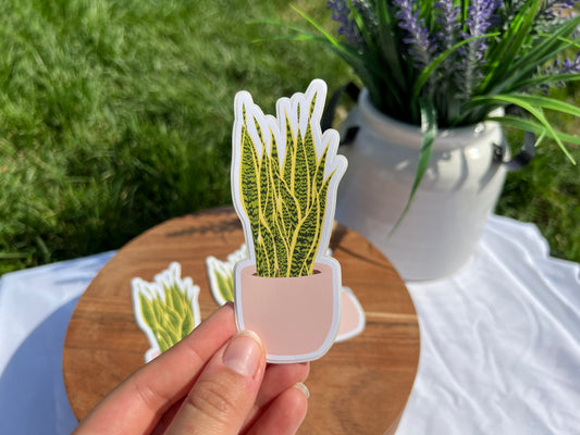 Cantaloupe Pot Snake Plant Sticker