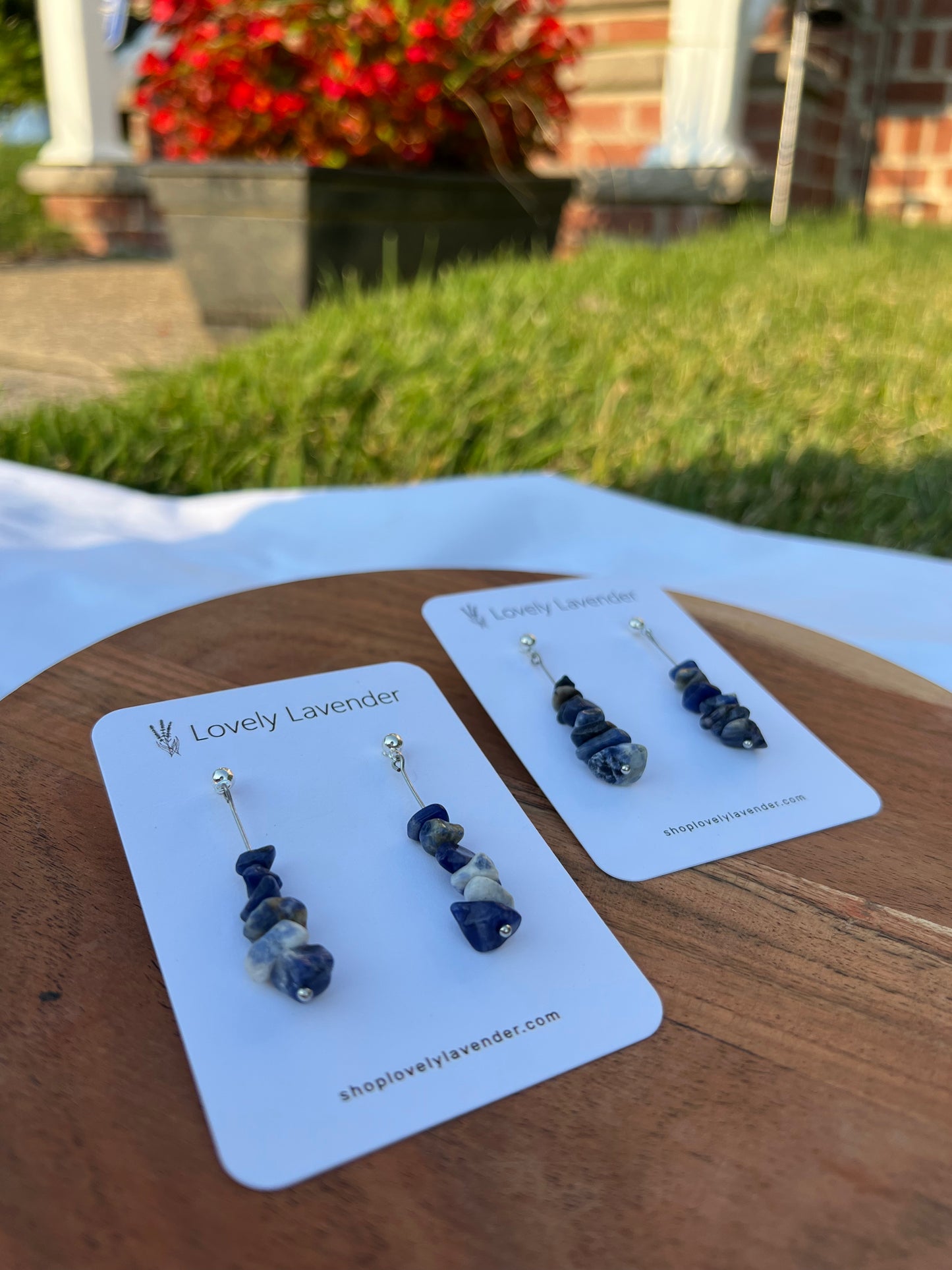 Sodalite Earrings - Silver